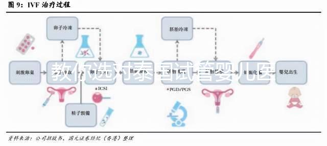 教你選對泰國試管嬰兒醫院，ALL IVF、杰特寧原來是這么回事