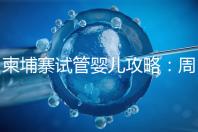 柬埔寨試管嬰兒攻略：周期和時間規劃全解析！