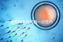 曼熙和十月結晶一次性內衣哪個好看就知道了，女生都來看