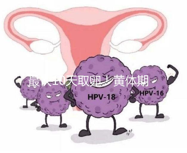 最快10天取卵!黃體期促排需要多長時(shí)間看這個(gè)指標(biāo)