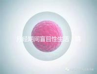 月經(jīng)期間盲目性生活,搞不好真的會出人命!