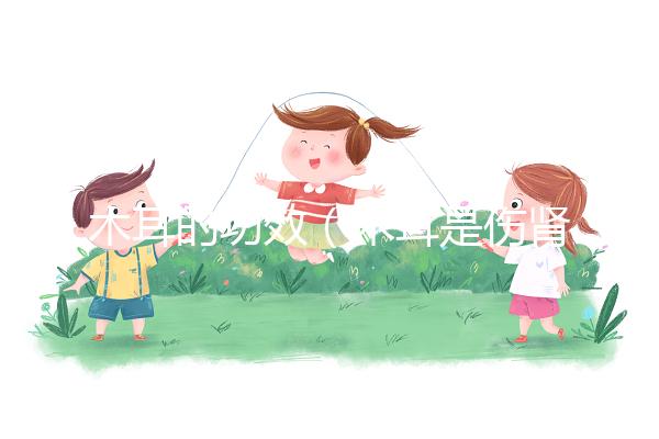 木耳的功效(木耳是傷腎還是補腎)