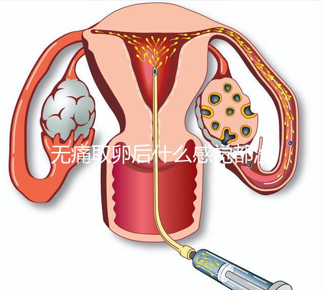 無痛取卵后什么感覺都沒有異常是謠言！只會出現一部分...
