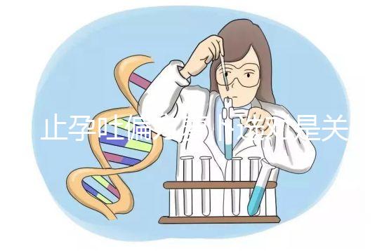 止孕吐偏方蘿卜選對是關鍵,懷孕初期生吃or煲湯功效不同