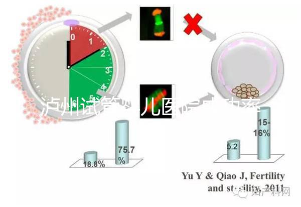 瀘州試管嬰兒醫院成功率排名，西南醫科大學附屬醫院上榜