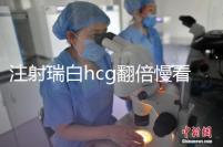 注射瑞白hcg翻倍慢看這，從原因著手告訴你解決辦法