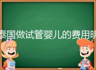 泰國(guó)做試管嬰兒的費(fèi)用明細(xì)公開(kāi)，一次大概花20萬(wàn)左右