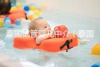 泰國試管嬰兒中介(泰國試管嬰兒中介價格)