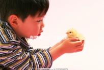 泰國 第三代 試管嬰兒(泰國 第三代 試管嬰兒費用)