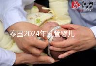 泰國2024年試管嬰兒攻略索引：證書，結婚證是硬條件