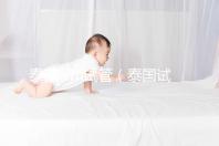 泰國ivm試管（泰國試管的）