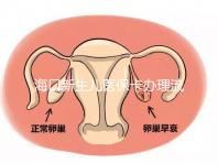 ?？谛律鷥横t?？ㄞk理流程更新，附2024秀英、龍華區手續