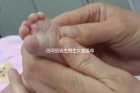 民間預(yù)測(cè)生男生女是騙局!清宮表準(zhǔn)確度并非100%