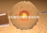 沈陽菁華醫院試管成功率高嗎？教你4招提升胚胎著床機會