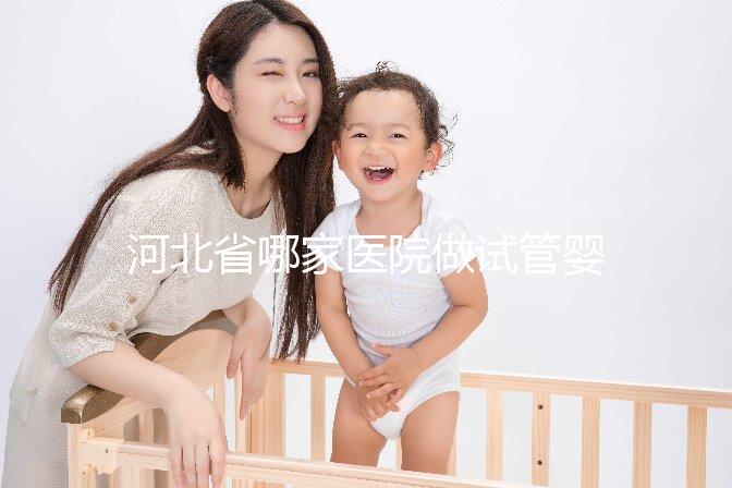 河北省哪家醫(yī)院做試管嬰兒好？這5家醫(yī)院成功上榜！