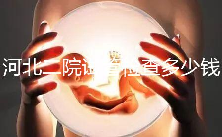 河北二院試管檢查多少錢公布，項目不同價格自然有所差異
