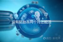 沒有胚胎凍兩個月還能活著嗎？60s會告訴你怎么樣？
