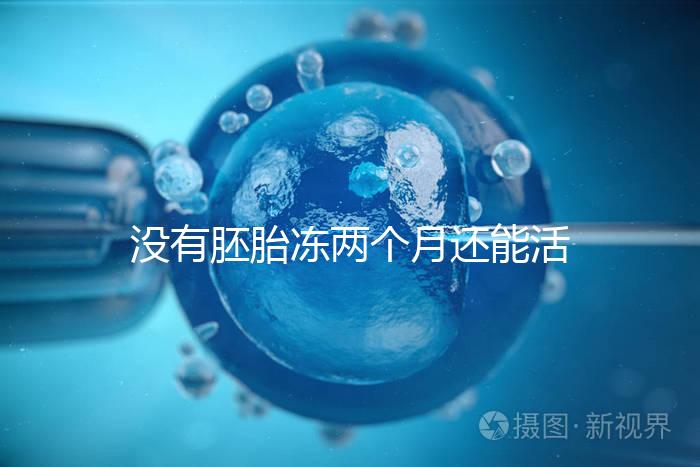 沒有胚胎凍兩個月還能活著嗎？60s會告訴你怎么樣？
