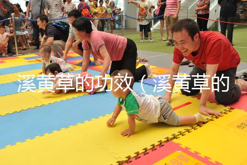 溪黃草的功效(溪黃草的功效與作用)