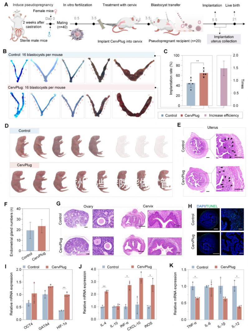 涿州哪些醫(yī)院能做試管嬰兒？聽聽姐妹們的答案