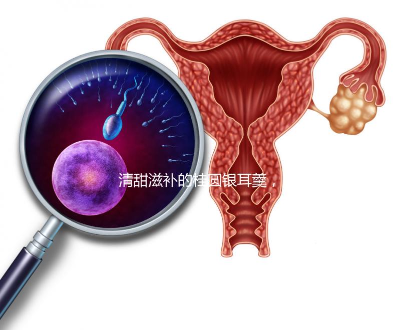 清甜滋補(bǔ)的桂圓銀耳羹，孕婦食用不再擔(dān)心上火