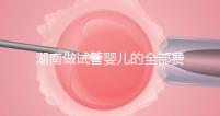 湖南做試管嬰兒的全部費(fèi)用大概是多少錢？附湖南試管嬰兒醫(yī)院排名一覽！