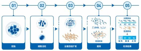 湖北私人試管(湖北私人試管醫(yī)院排名)