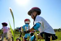 子宮內膜異位癥可通過試管嬰兒技術，解決不孕難題