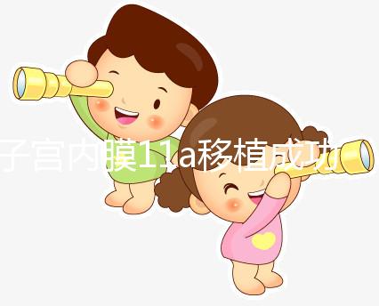 子宮內膜11a移植成功率解析，好不好、適不適合著床看這