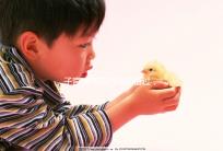 子宮康停藥時間別錯過,60秒了解其多久見效