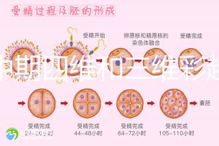 孕中期四維和三維彩超檢查區(qū)別真不小,看完便知誰(shuí)更好