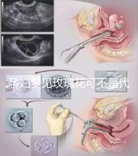 孕婦夢(mèng)見(jiàn)玫瑰花可不是代表愛(ài)情!具體胎夢(mèng)意思解讀