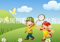 孕媽屬相看生男生女有講究，方法沒找對測試結(jié)果有誤差