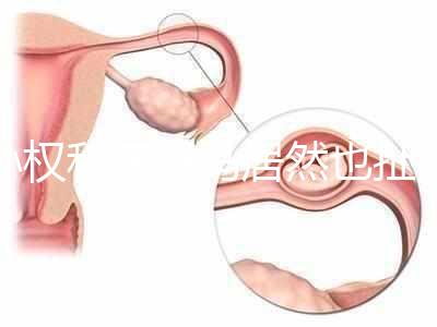孫權(quán)和奧巴馬居然也扯得上關(guān)系：他們都是混血兒
