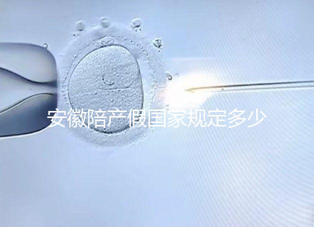 安徽陪產(chǎn)假國家規(guī)定多少天更新,2024淮南何時開始執(zhí)行戳