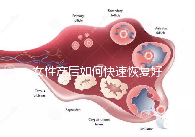女性產后如何快速恢復好身材？