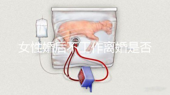 女性婚后不工作離婚是否還錢有規定，如何處理需要早知道