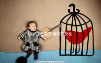 女貞子的功效與作用及食用方法（女貞子會(huì)讓雌激素增高嗎）