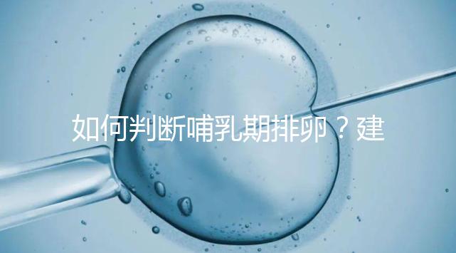 如何判斷哺乳期排卵？建議試試這四招，快速掌握排卵期