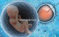 如果囊胚移植不成功，身體會有什么反應？除腹痛外，這三個方面也需要注意