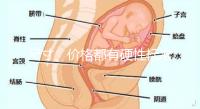 尺寸、價格都有硬性標準，選擇雙胞胎嬰兒床決不可大意！