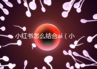 小紅書怎么結合ai（小紅書如何運用）