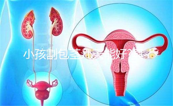 小孩割包莖幾天能好?具體恢復時間詳解