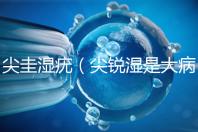 尖圭濕疣（尖銳濕是大病還是小?。? /></div><time dir=