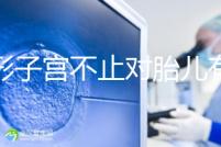 弓形子宮不止對胎兒有危害！這4種影響都不能忽視