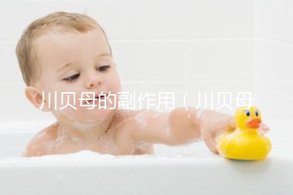 川貝母的副作用(川貝母的副作用有哪些)