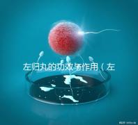 左歸丸的功效與作用(左歸丸的功效與作用和適用人群)