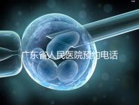 廣東省人民醫院預約電話（廣東省人民醫院預約電話是多少）