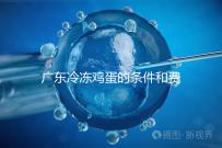 廣東冷凍雞蛋的條件和費用明細(xì)！包含廣州前三醫(yī)院的詳細(xì)信息！