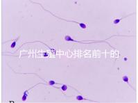 廣州生殖中心排名前十的醫院列舉,權威醫療機構都在這